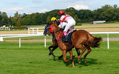 best lockinge stakes betting sites|Lockinge Stakes .